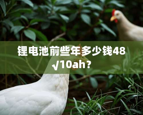 锂电池前些年多少钱48√10ah？