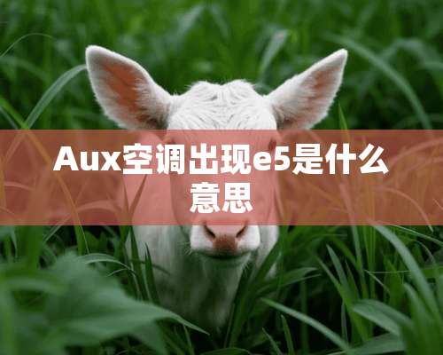 Aux空调出现e5是什么意思