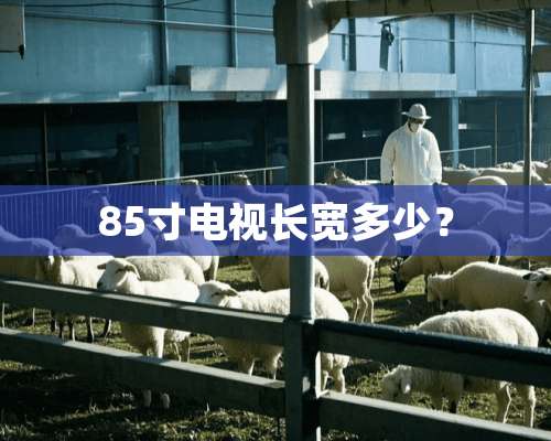 85寸电视长宽多少？