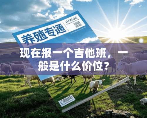 现在报一个吉他班，一般是什么价位？