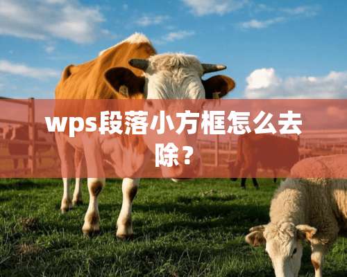 wps段落小方框怎么去除？