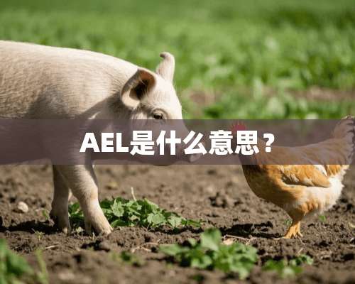 AEL是什么意思？