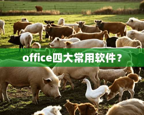 office四大常用软件？