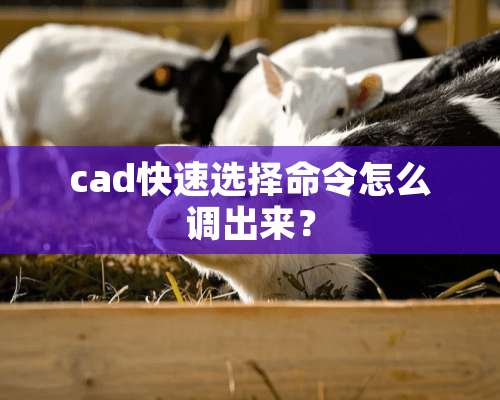 cad快速选择命令怎么调出来？