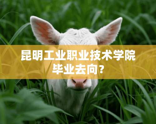 昆明工业职业技术学院毕业去向？