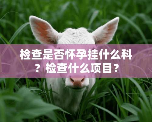 检查是否怀孕挂什么科？检查什么项目？