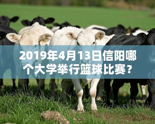 2019年4月13日信阳哪个大学举行篮球比赛？