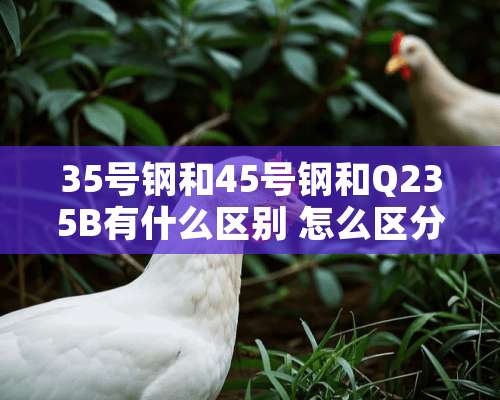 35号钢和45号钢和Q235B有什么区别 怎么区分啊？