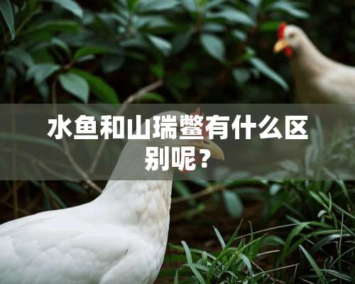 水鱼和山瑞鳖有什么区别呢？