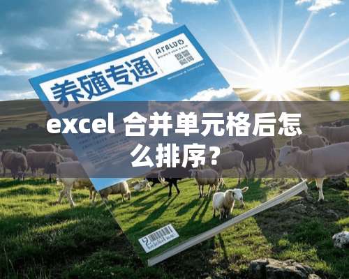 excel 合并单元格后怎么排序？