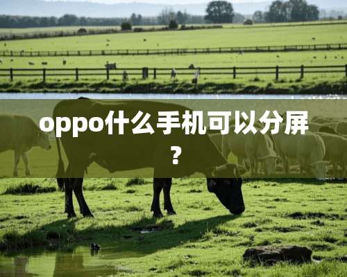 oppo什么手机可以分屏？