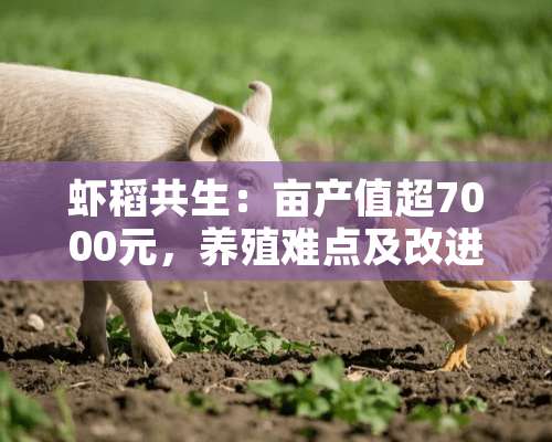 虾稻共生：亩产值超7000元，养殖难点及改进问题的方法