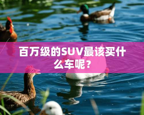 百万级的SUV最该买什么车呢？