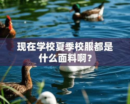 现在学校夏季校服都是什么面料啊？