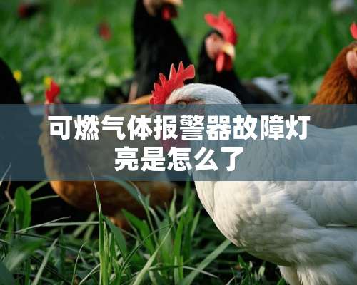 可燃气体报警器故障灯亮是怎么了