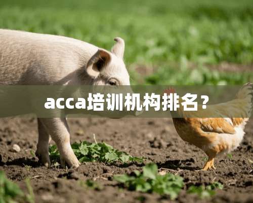 acca培训机构排名？