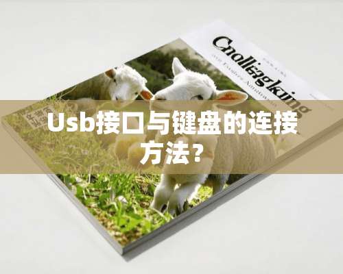 Usb接口与键盘的连接方法？