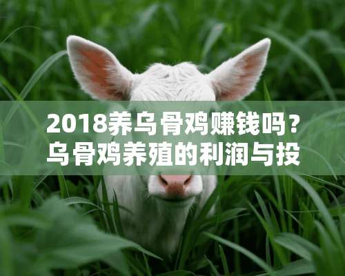 2018养乌骨鸡赚钱吗？乌骨鸡养殖的利润与投资成本及前景预测