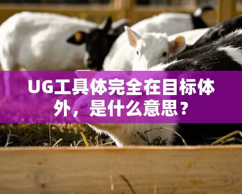 UG工具体完全在目标体外，是什么意思？