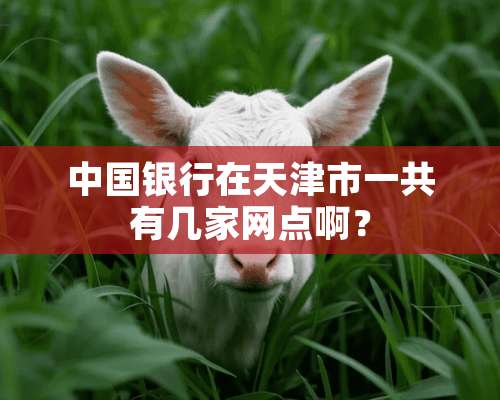 中国银行在天津市一共有几家网点啊？