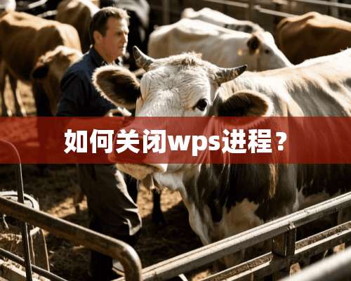 如何关闭wps进程？