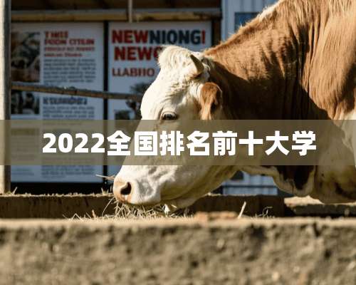 2022全国排名前十大学