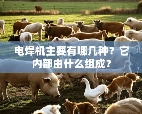 电焊机主要有哪几种？它内部由什么组成？