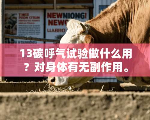 13碳呼气试验做什么用？对身体有无副作用。