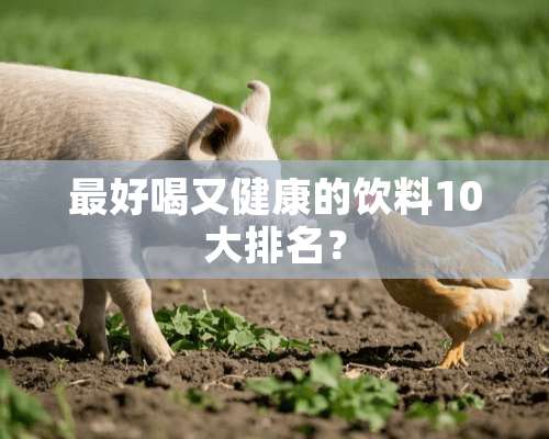 最好喝又健康的饮料10大排名？