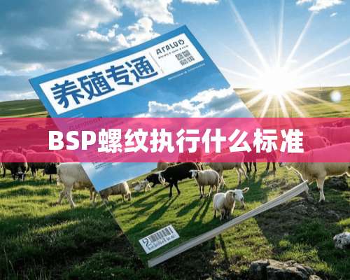 BSP螺纹执行什么标准