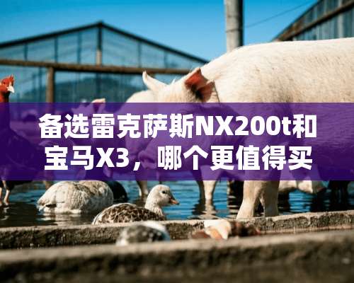 备选雷克萨斯NX200t和宝马X3，哪个更值得买？