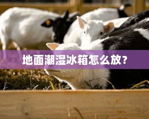 地面潮湿冰箱怎么放？