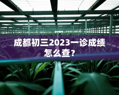 成都初三2023一诊成绩怎么查？