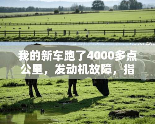 我的新车跑了4000多点公里，发动机故障，指示灯打火前，亮正常吗？