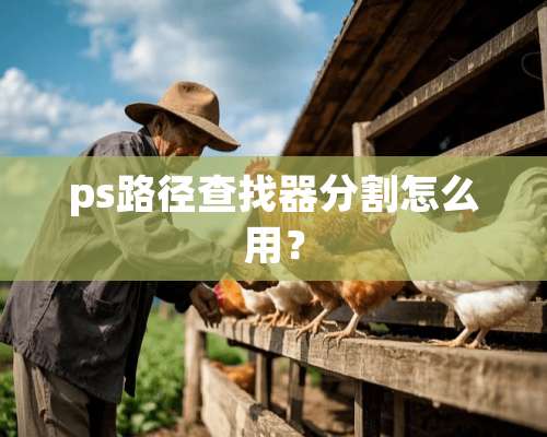 ps路径查找器分割怎么用？