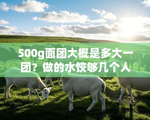 500g面团大概是多大一团？做的水饺够几个人吃？