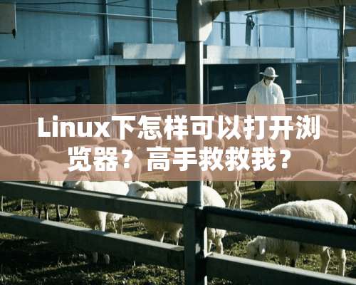 Linux下怎样可以打开浏览器？高手救救我？