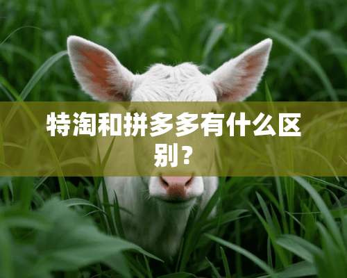 特淘和拼多多有什么区别？