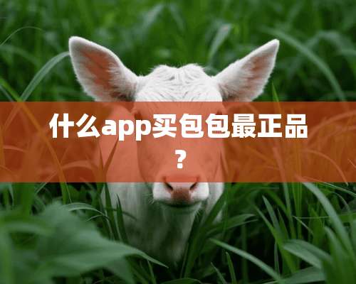 什么app买包包最正品？