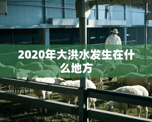 2020年大洪水发生在什么地方