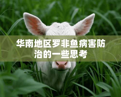 华南地区罗非鱼病害防治的一些思考