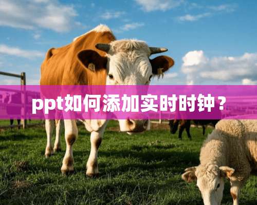 ppt如何添加实时时钟？