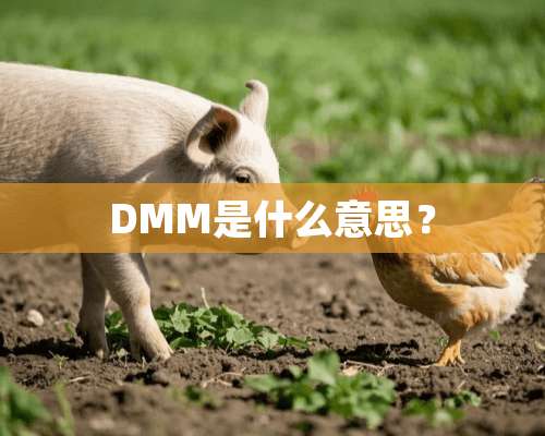 DMM是什么意思？