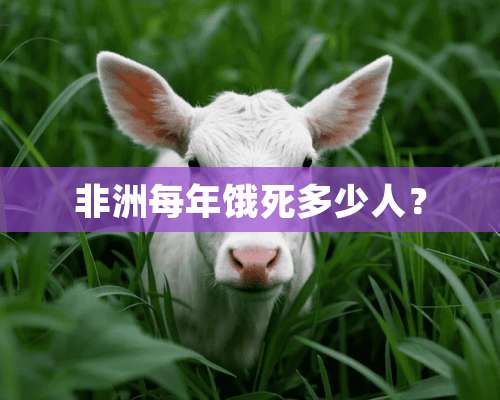 非洲每年饿死多少人？