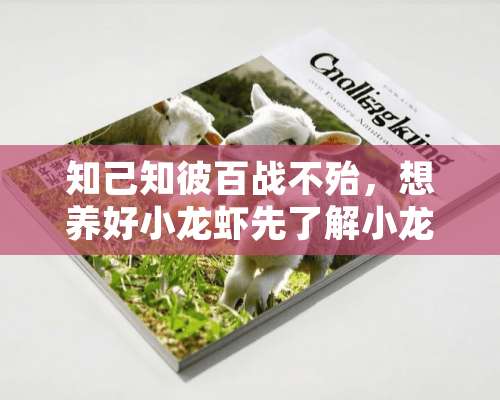 知己知彼百战不殆，想养好小龙虾先了解小龙虾的生物学特性