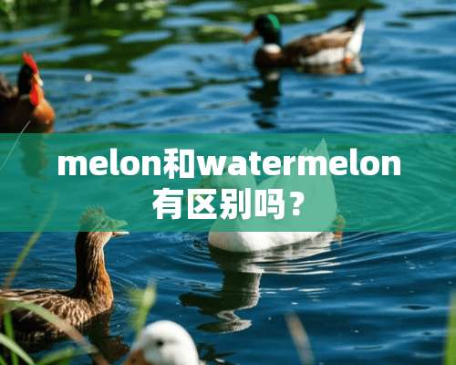 melon和watermelon有区别吗？