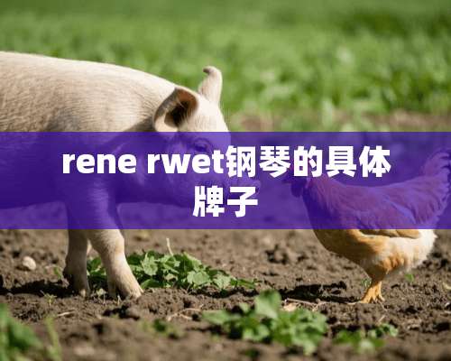 rene rwet钢琴的具体牌子