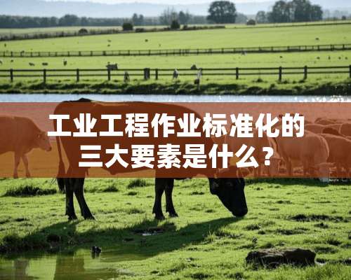 工业工程作业标准化的三大要素是什么？