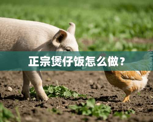 正宗煲仔饭怎么做？