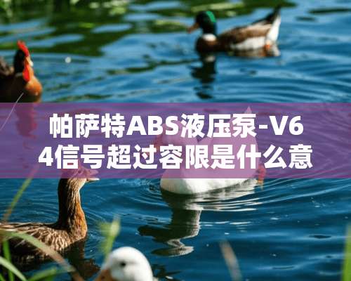 ***ABS液压泵-V64信号超过容限是什么意思